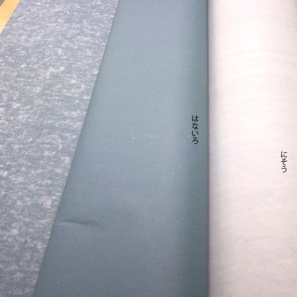 激安 2層雲華紙 (雲花紙・うんかし・押入れ襖の裏紙) 100枚セット