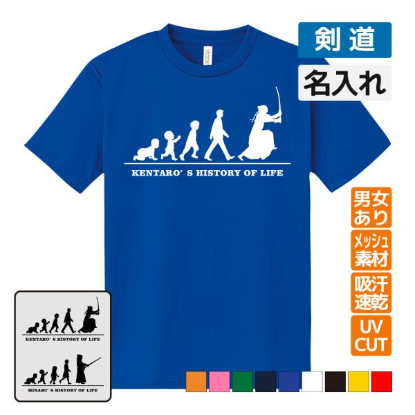 剣道 ドライ Tシャツ 吸汗 速乾 メッシュ オリジナル 名入れ無料 (HOL