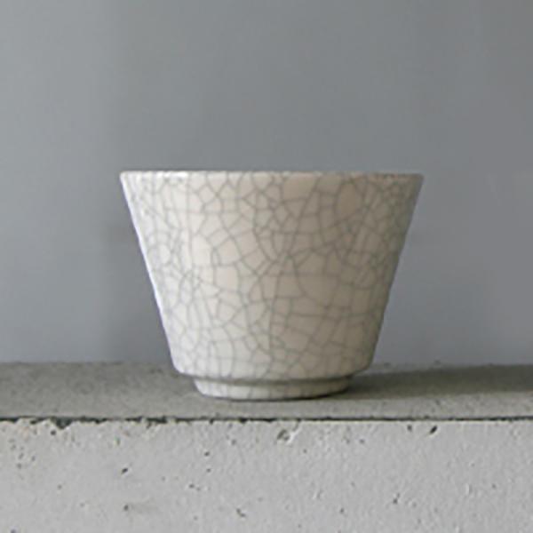 designshop-jp_2131000001280