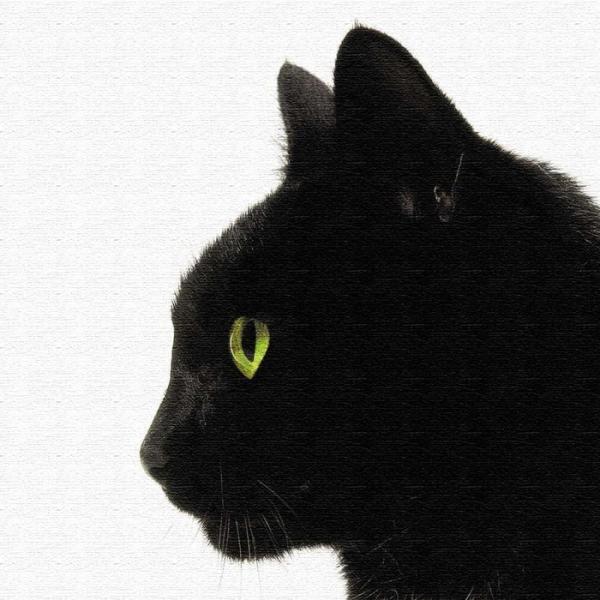 黒猫 アートボード アートパネル アートデリ Mサイズ 30cm 30cm Lib 5109079s1 Buyee Buyee Japanese Proxy Service Buy From Japan Bot Online