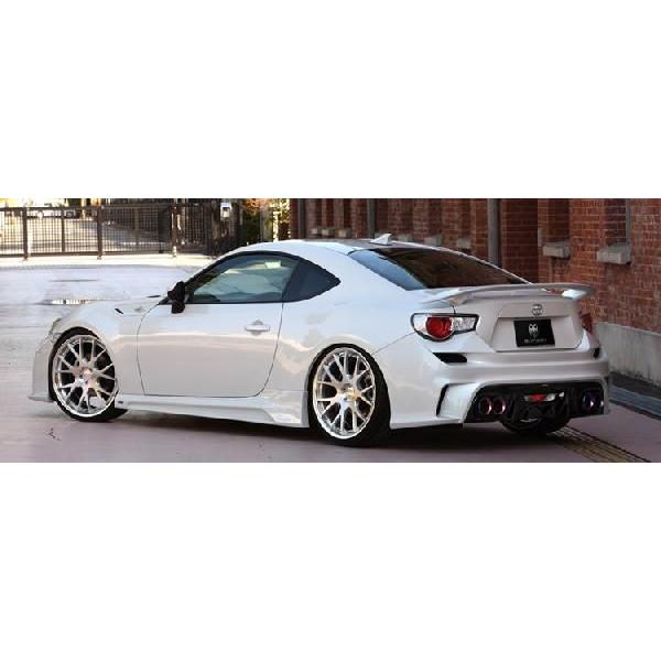 SilkBlaze VNuCY}t[^~100 / Vo[̂ g^ [g^86cZN6 ][ԌΉ]