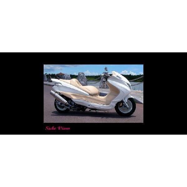 CLOVER N[o[ Majesty}WFXeBC!A_[p[c h