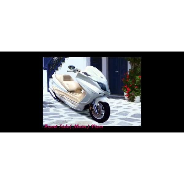 CLOVER N[o[ Majesty}WFXeBC!TChp[c h