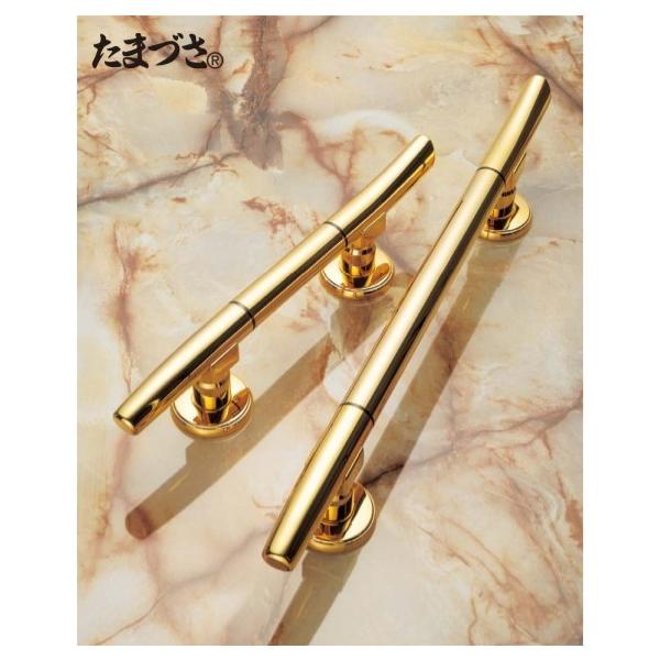 SUGATSUNE XKclH hAnh DTM-a^ 100-173-775 DTM-B580GA | hAmu nh mu  24K߂NA[ jbP߂NA[ O