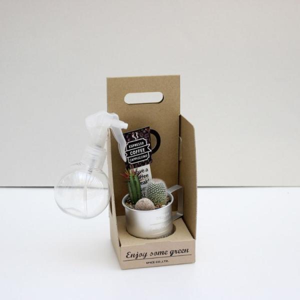 SPICE XpCX Xv[t CAFE MUG SABOTEN 8979-BOX 12 | K[f A T{e  Mtg T{eZbg ~` Xv[ }VF {bNXZbg