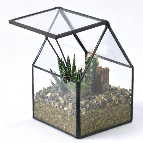 観葉植物 サボテン テラリウムの人気商品 通販 価格比較 価格 Com