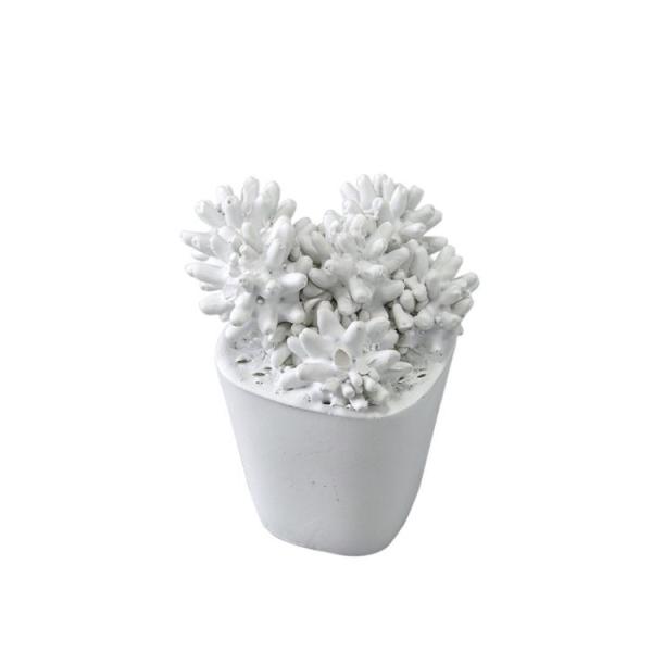 SPICE �X�p�C�X SPICE OF LIFE Elegant deco �T�{�e���I�u�W�F B �z���C�g KMDR2080B |   �f�B�X�v���C����