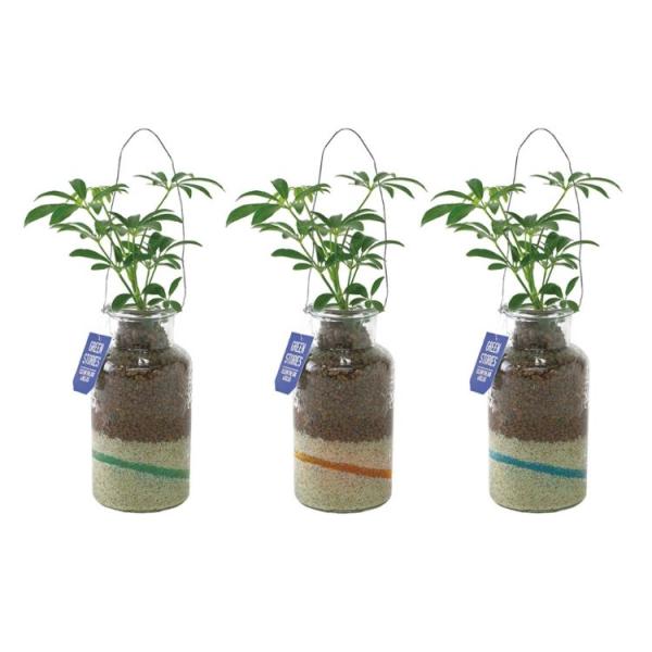 観葉植物 カラーサンドの人気商品 通販 価格比較 価格 Com