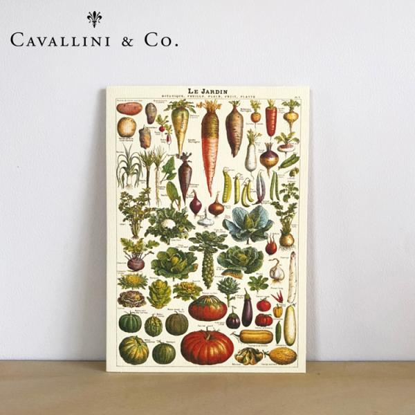 Jo[j O[eBOJ[h ړIJ[hW_ xW^u  ܂J[h bZ[WJ[h t CAVALLINI