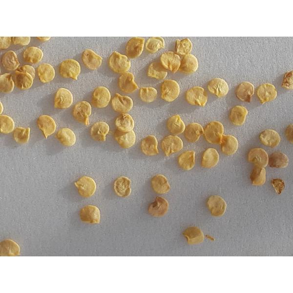 ベトナムタイグエン省フービン県唐辛子」の種30粒送料込、第四種郵便にてお送り致します。