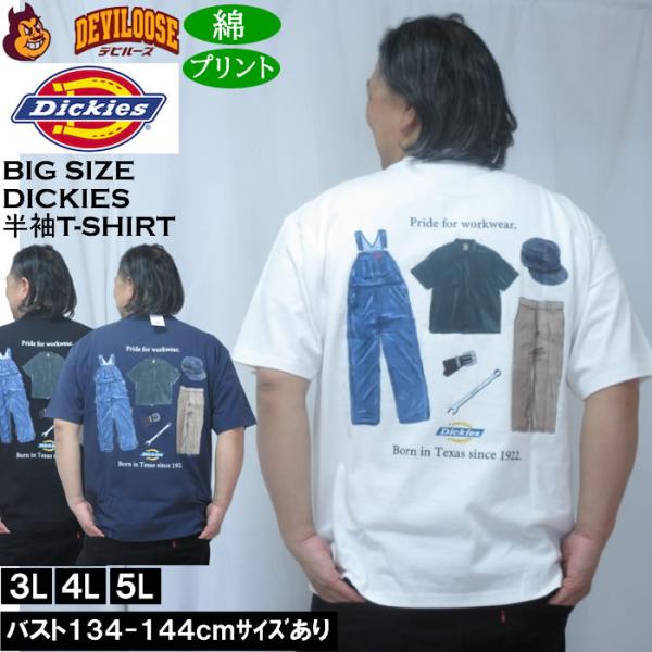 大きいサイズ メンズ DICKIES ハンドドローイング半袖Tシャツ 綿 コットン（メーカー取寄）ディッキーズ 3L 4L 5L