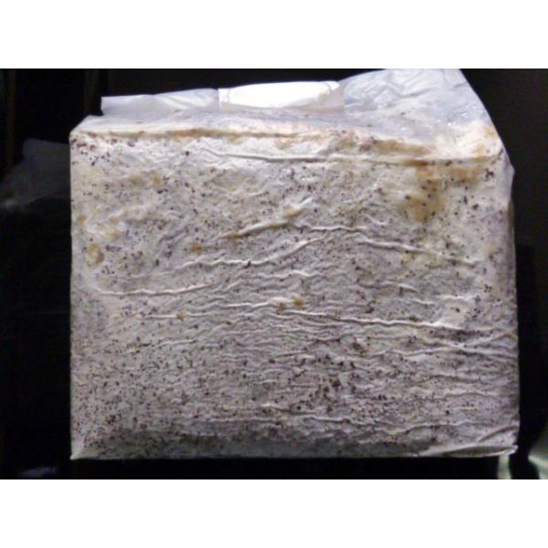 ◎使用方法：袋から取り出し周りの白い皮膜を剥ぎ　オガに戻してビン等に詰めて下さい。◎用途：メソトプス、オウゴンオニ等の幼虫に！◎5月中旬〜10月の高温期は通常送料の他にクール送料275円〜715円が　受注後、送料に加算されます。PayPay...