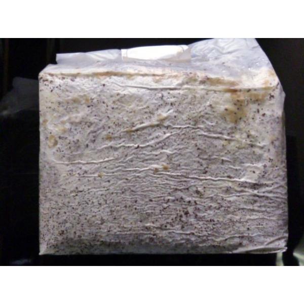 ◎使用方法：袋から取り出し周りの白い皮膜を剥ぎオガに戻して　ビン等に詰めて下さい。◎用途：ウッディ、ボーリン等の幼虫に！　◎カワラタケ、ブナ100％　カワラタケは皮膜がゴムの様に厚く固くなり使いづらいですが　当店のカワラは比較的皮膜の薄いタ...