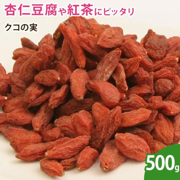 NR̎ 500g SWx[  hCt[c Y sgp  mIC X[p[t[h t[c