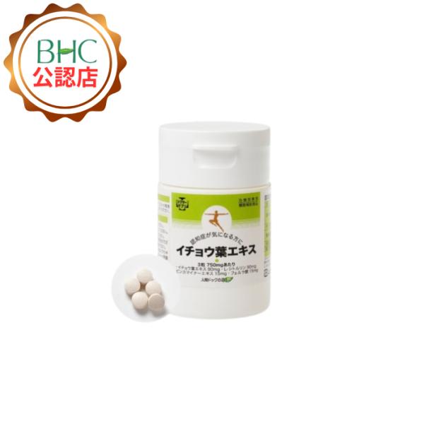 【公認ショップ】イチョウ葉エキス 90錠 ドクターサプリ 健康補助食品シリーズ ダイエット サラサラ BHC 人間ドック