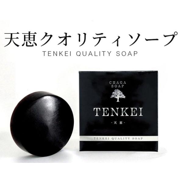 正規取扱店】天恵クオリティソープ 80g 100%植物由来 無添加 化粧