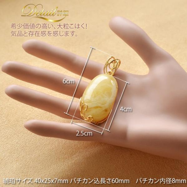 天然石の女王 琥珀ロイヤルアンバーのペンダントネックレス 大粒琥珀 バルティックアンバー Buyee Buyee Japanese Proxy Service Buy From Japan Bot Online