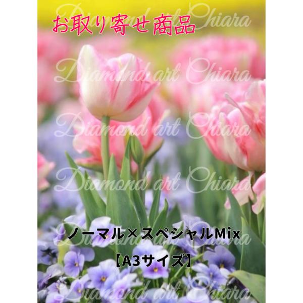 （必読）詳細や注意事項は画像をご覧ください。注文履歴のステータス表示については下記のお買い物ガイドの【引き渡し時期】をご覧ください。水コレにノーマル×スペシャルビーズMixが登場！！スペシャルビーズはお好きなビーズを選べます。※お取り寄せ商...