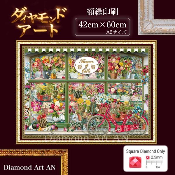 diamondart-an_am-533