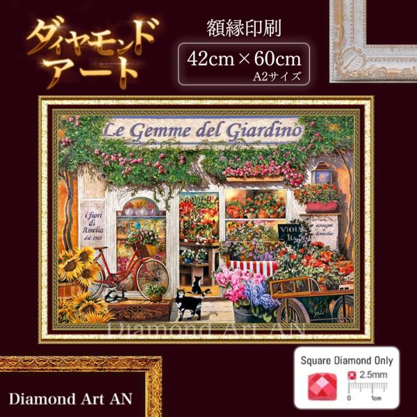 diamondart-an_am-545