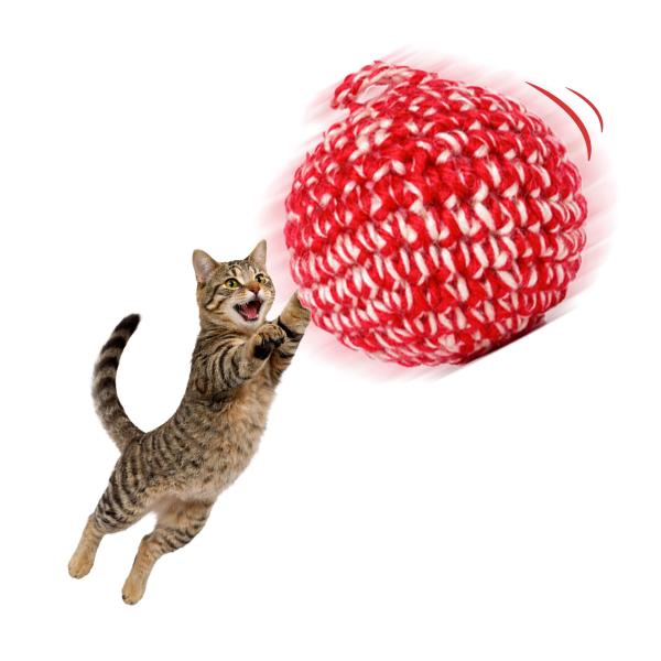 他サイト： JAYU PET レッド キャット ボール−マタタビ 入りおもちゃ、手作り マタタビおもちゃ、室内 猫用おもちゃ、子猫用 おもちゃ、猫用ギフト(7.0の商品画像