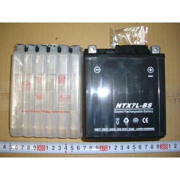 新品バッテリーNTX7L-BS キャノピー等1個 : ダイアナオート3号