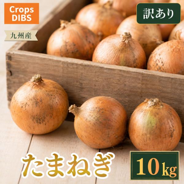 訳あり 玉ねぎ 10kg 九州産 産地直送
