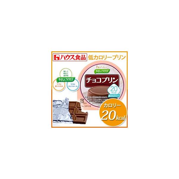 ダイエット 低カロリー おやつ デザート スイーツ 糖尿病 食品 やさしくラクケア kcal チョコプリン 6個入り Buyee Buyee 日本の通販商品 オークションの代理入札 代理購入