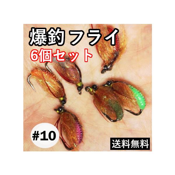 ニンフ ニンフフライ 6色セット カディスピューバ スカッド ルアー