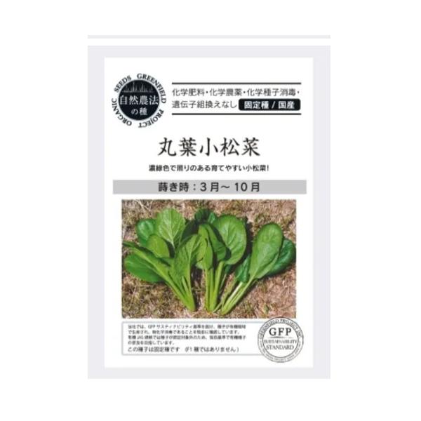 他サイト： 【ポスト投函便】グリーンフィールドプロジェクト　丸葉小松菜【自然栽培の種・固定種・国産】　葉菜　春夏秋の商品画像