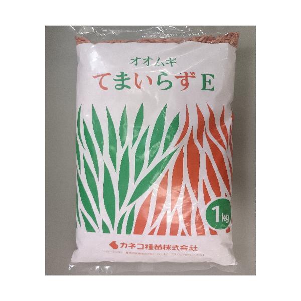 カネコ種苗 緑肥 オオムギ てまいらずE 1kg