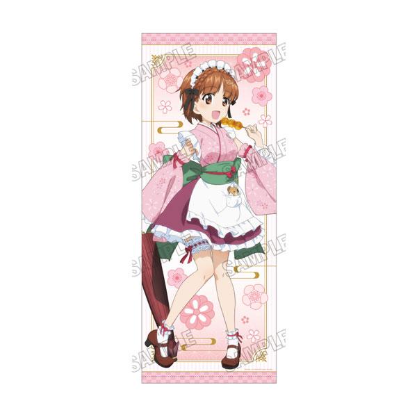 送料無料◇ガールズ＆パンツァー 最終章 描き下ろし等身大タペストリー