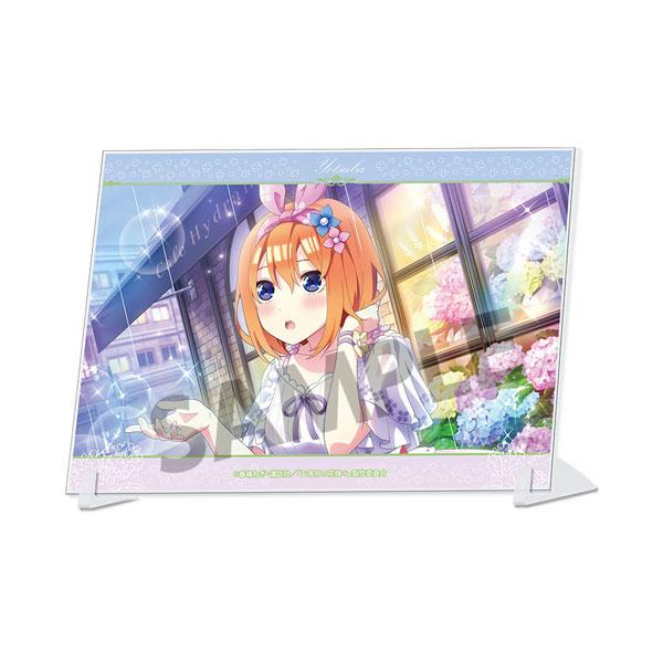 ホビーストック 五等分の花嫁＊ A6ビジュアルアクリルプレート vol.1