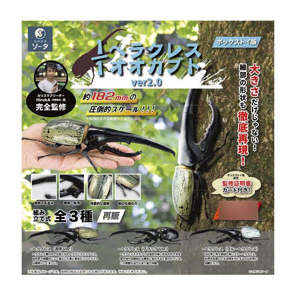 再販 1/1ヘラクレスオオカブト ver.2.0 ボックストイ版 (1BOX) SO-TA
