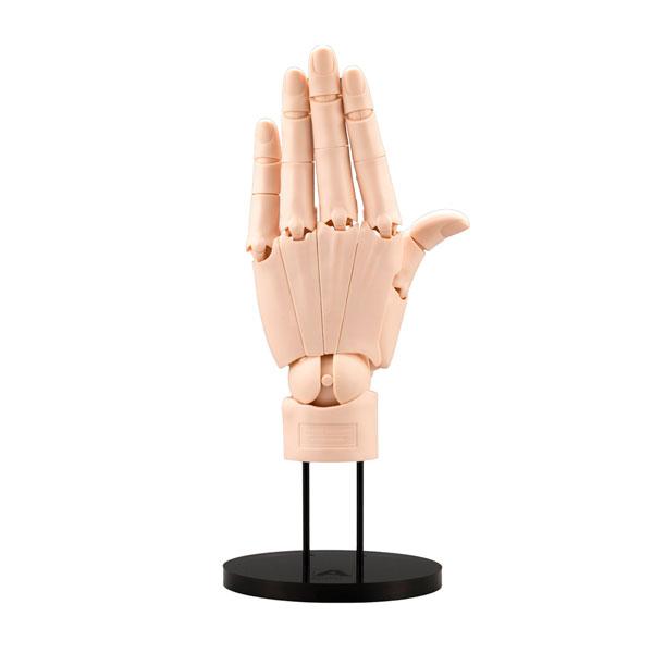 コトブキヤ　ARTIST SUPPORT ITEM 1/1スケール ハンドモデル コトブキヤ ARTIST SUPPORT ITEM 1/1 ハンドモデル/L -PALE