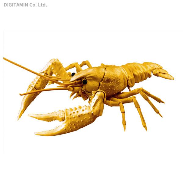 フジミ アメリカザリガニ 特別仕様 ゴールド プラモデル 自由研究シリーズ No 24 Ex 5 いきもの編 Zp Zp でじたみん Yahoo 店 通販 Yahoo ショッピング