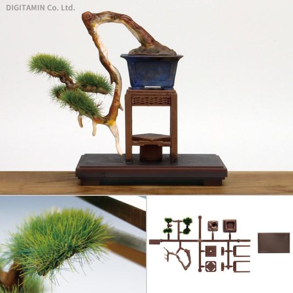 1 12 The Bonsai ザ 盆栽 参 プラモデル プラッツ Bon 03 Zs261 Zs261 でじたみん Yahoo 店 通販 Yahoo ショッピング