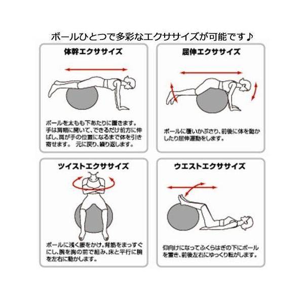 卸直営 フィットネスボール 55cm