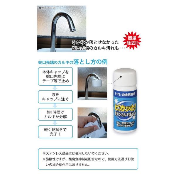 お金を節約 ピカッと 青サビ カルキ落とし用 50ml 5本セット Fin 617