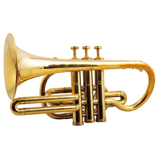 高い素材 ポケットトランペット