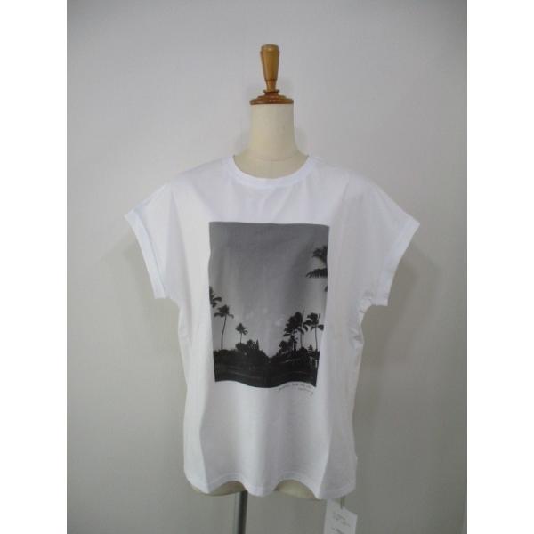 MICA&DEAL マイカアンドディール MICA＆DEAL palm tree phote t