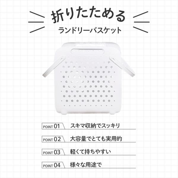 dina_320lanzi_2_d_20241201020334