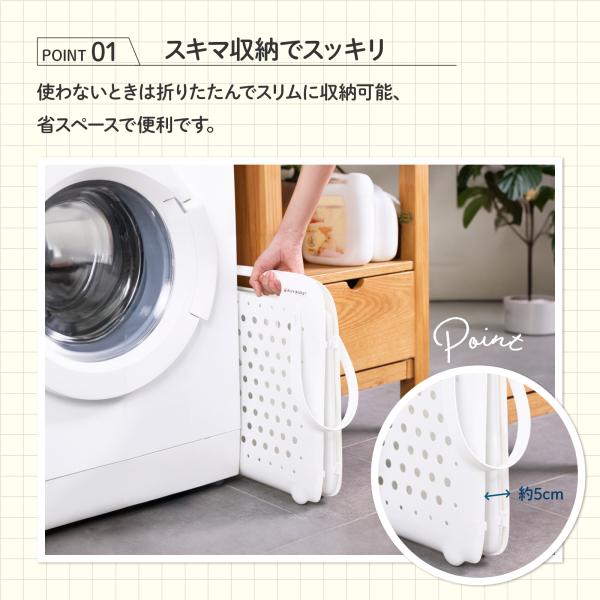 dina_320lanzi_3_d_20241201020336