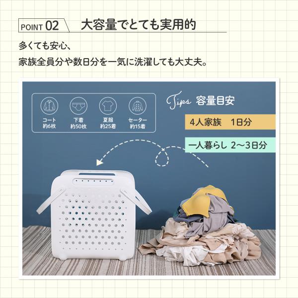 dina_320lanzi_4_d_20241201020338