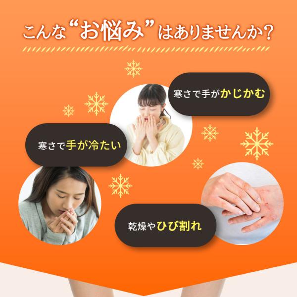 dina_323shoutaonv_1_d_20250122004900