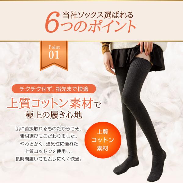 dina_450canwaniha8_4_d_20251126034421