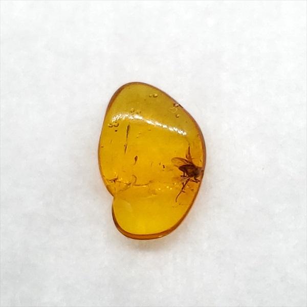 美品 虫入り琥珀 琥珀 化石 本物 バルト海産 ケース付き 10.75mm