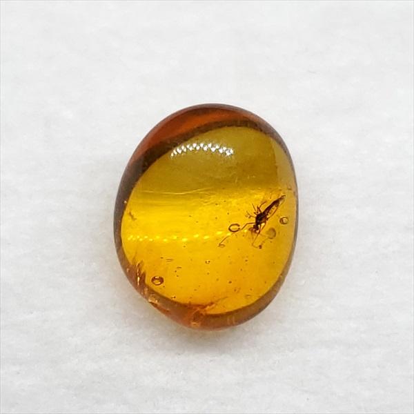 美品 虫入り琥珀 琥珀 化石 本物 バルト海産 ケース付き 9.93mm