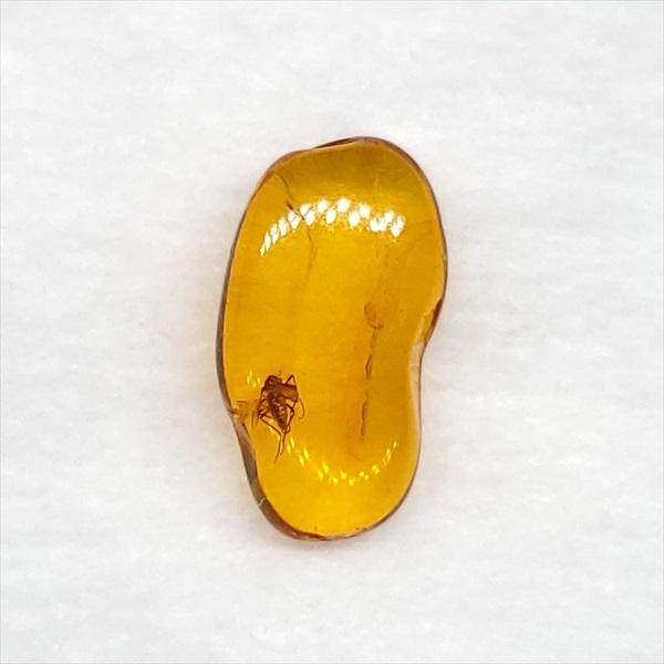 美品 虫入り琥珀 琥珀 化石 本物 バルト海産 ケース付き 13.29mm