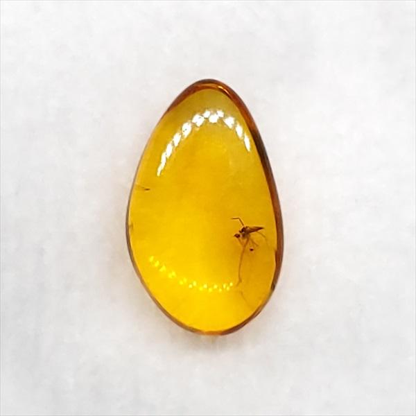 バルト海産　虫入り琥珀　12個セット　全て虫入り　本物保証　良いコンディション バルト海産 虫入り琥珀 12個セット 全て虫入り 本物保証 良い
